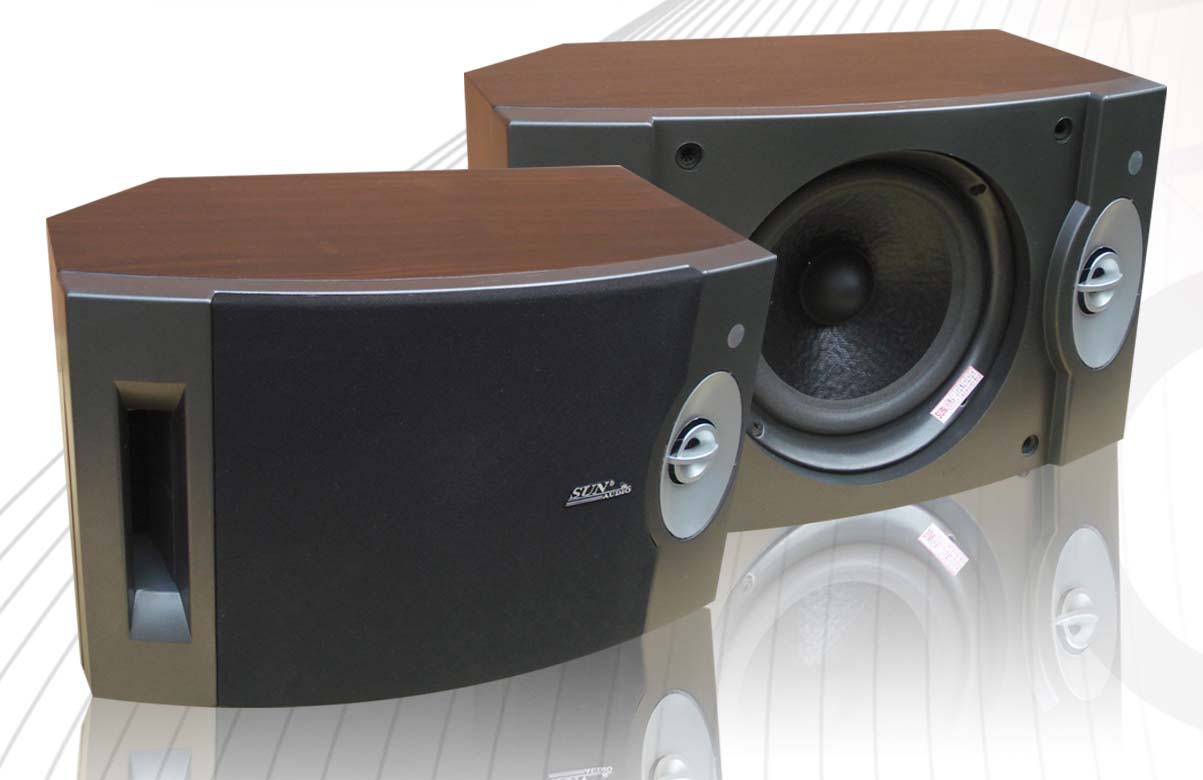 Sunaudi BOSE 301 karaoke loudspeaker