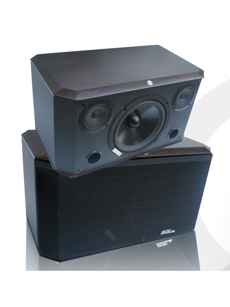 Sunaudi G-300V karaoke loudspeaker